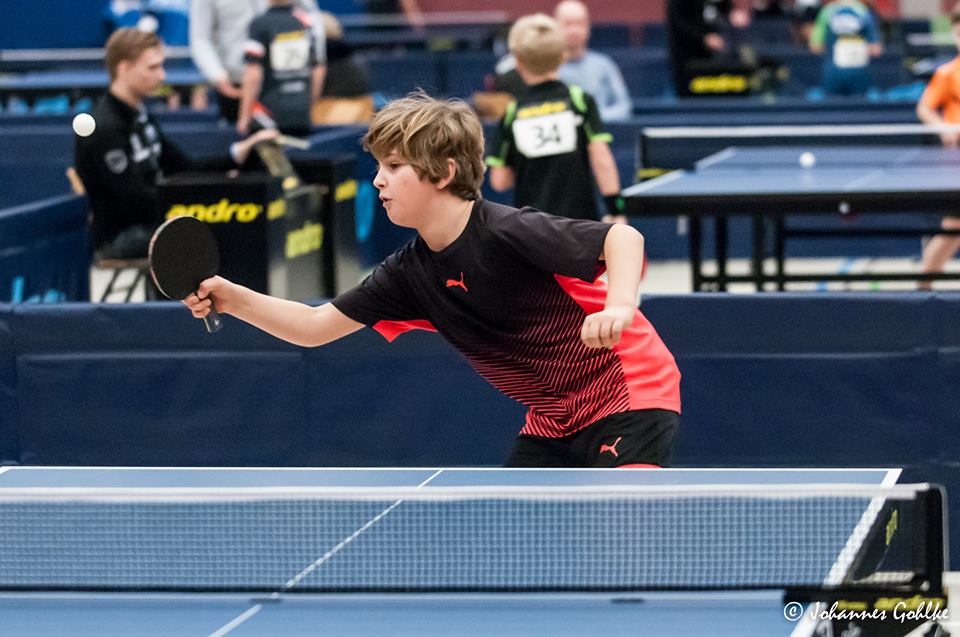 Tischtennis bei der WSG 81