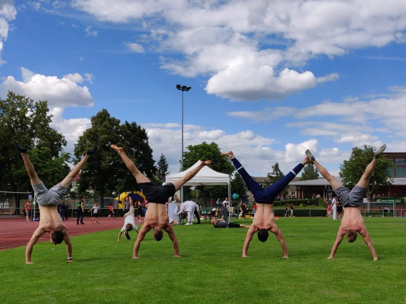 Calisthenics & Kampfsport bei der WSG 81